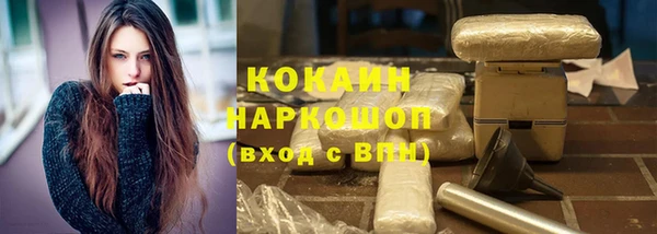 дживик Анжеро-Судженск