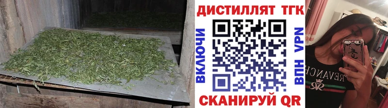 купить наркотики сайты  Отрадное  Дистиллят ТГК Wax 