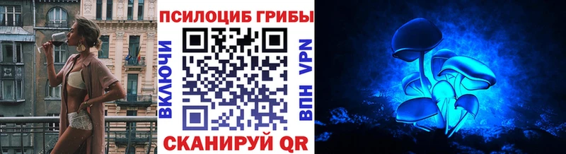 Псилоцибиновые грибы GOLDEN TEACHER  цена наркотик  Отрадное 