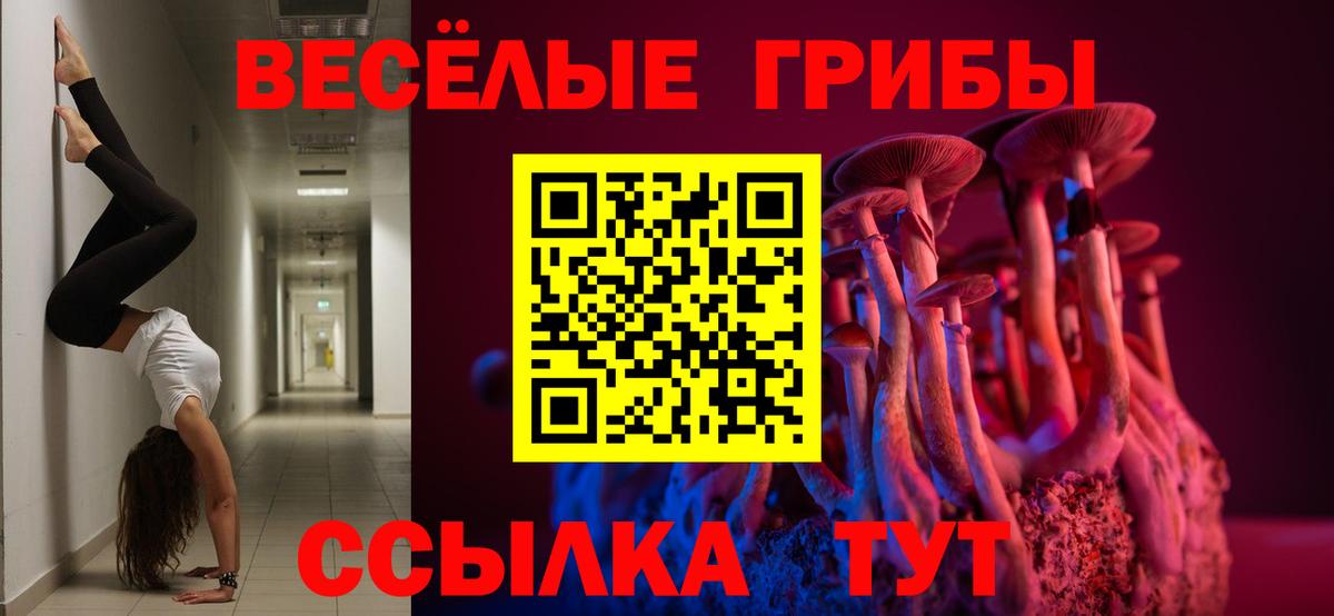 Псилоцибиновые грибы MAGIC MUSHROOMS  Вход с VPN  Отрадное  Галлюциногенные грибы Psilocybe 